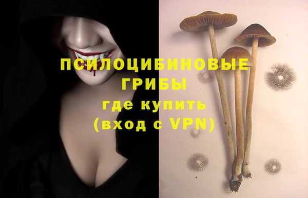 гидропоника Карпинск