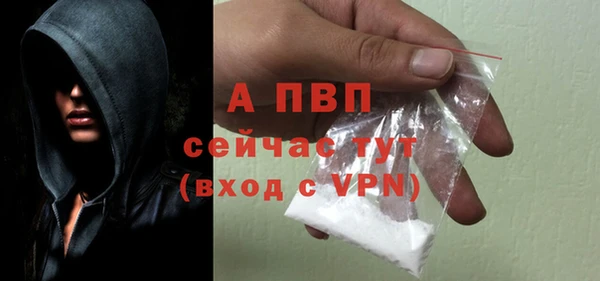 винт Касимов