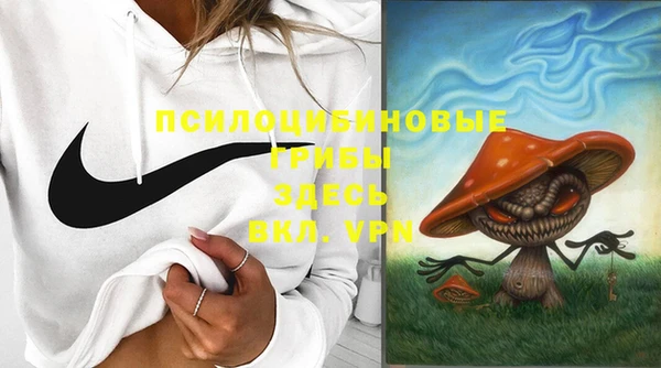 гидропоника Карпинск