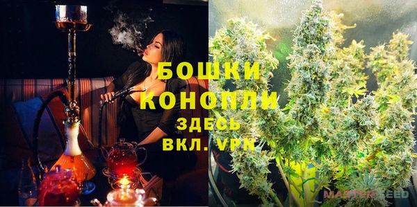 винт Касимов